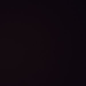 Meet your Posher, Leo